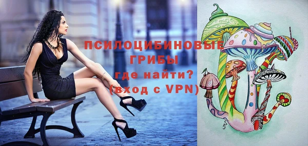 спиды Осинники