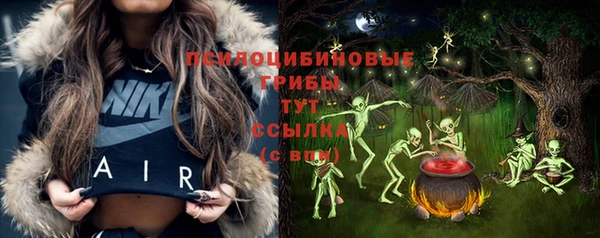 а пвп мука Кодинск