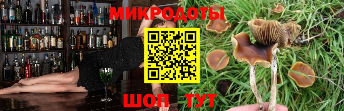 Псилоцибиновые грибы Psilocybine cubensis  Вход с VPN  Елец 