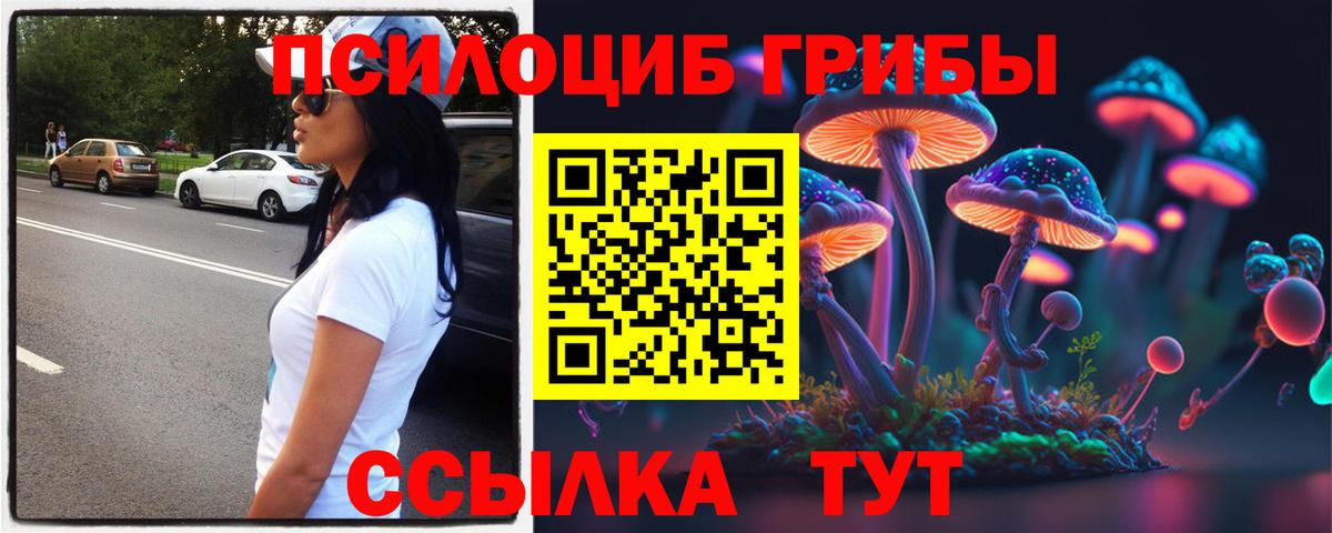 Галлюциногенные грибы прущие грибы Елец