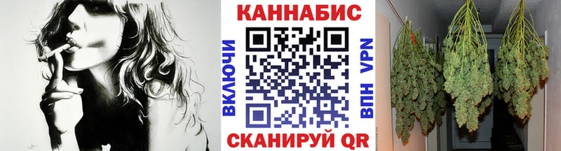 Бошки марихуана AK-47  darknet телеграм  Елец  дарнет шоп 
